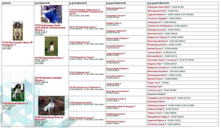 Screen Shot 2023-03-13 at 18.22.59